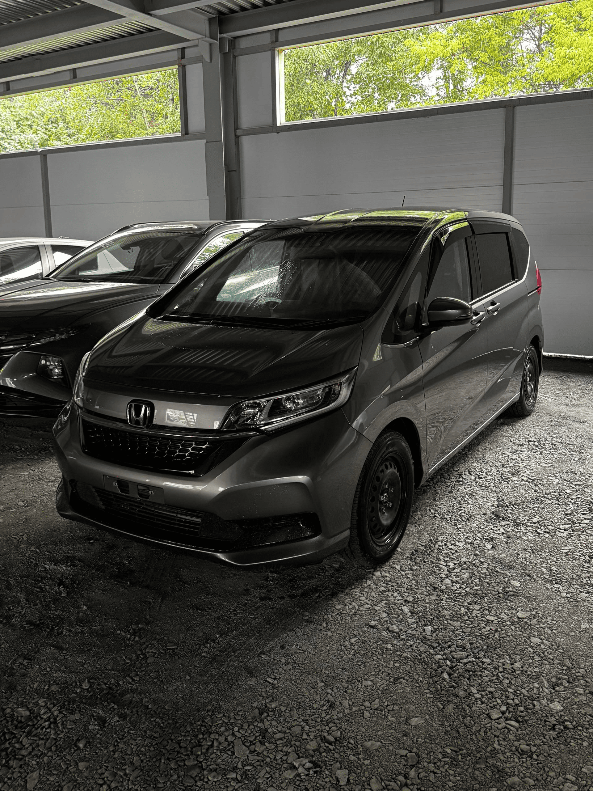 Honda freed